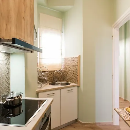 Modern Antique Private Near To Acropolis Museum And Metro Station Apartment Athens